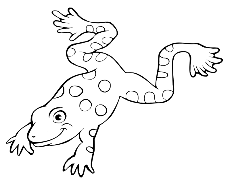 FREE Frog Coloring Pages to Print Out and Color! - ClipArt Best