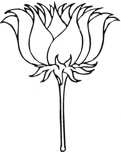 Click the Lotus blossom coloring page to view printable version or color it online. Compatible with iPad and Android tablets. You might also be interested in colorings from lotus category and lotus