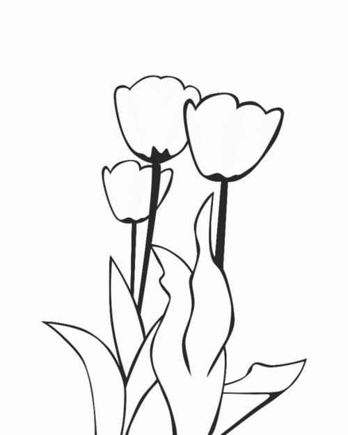 tulip clip art free black and white - photo #38