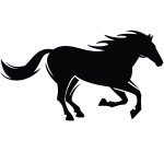 Horse | Photos and Vectors | Free Download