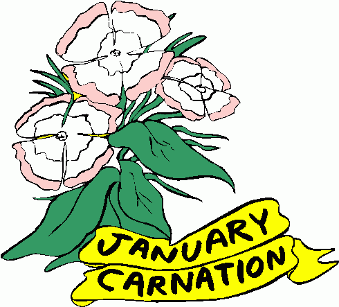 01_january_-_carnation_1 clipart - 01_january_-_carnation_1 clip art