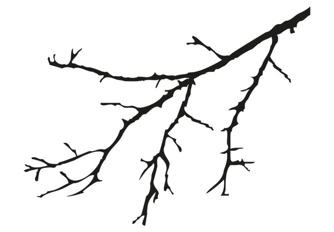 tree-branches-coloring-pages-clipart-best