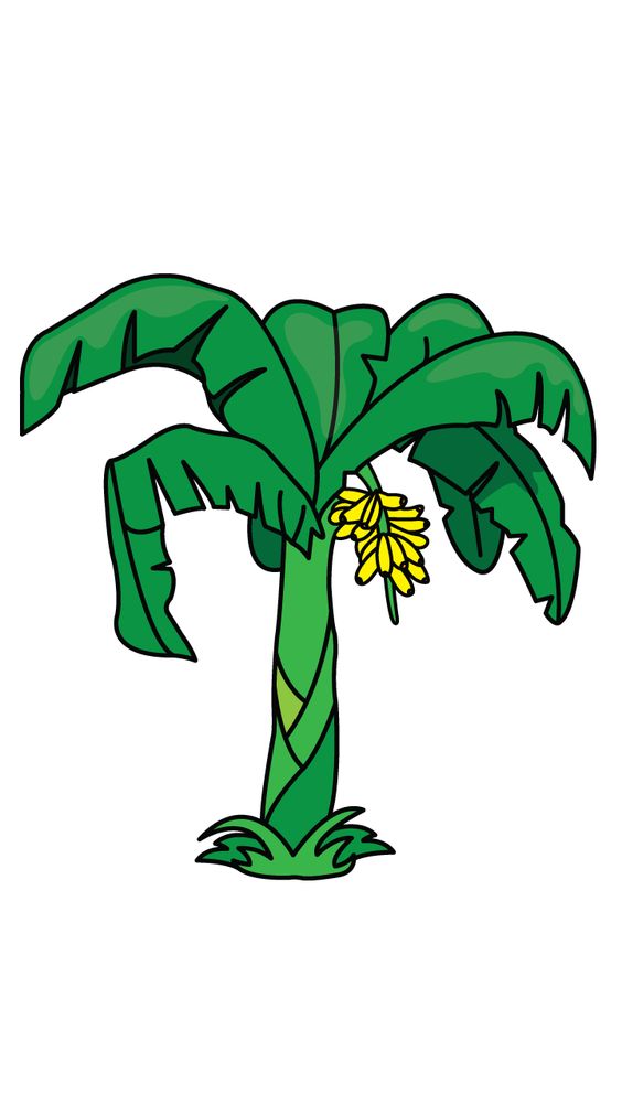 banana tree clip art - photo #41