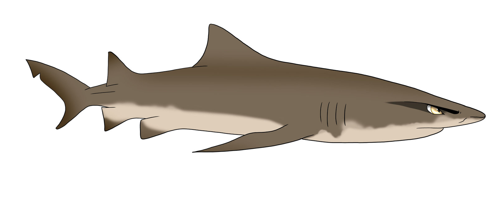 lemon shark clipart - photo #11