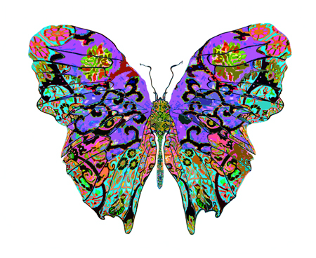 Butterfly Art | Butterfly Paintings | Butterfly Prints & Cards