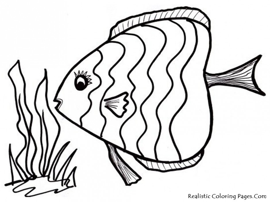free clip art fish outline - photo #41