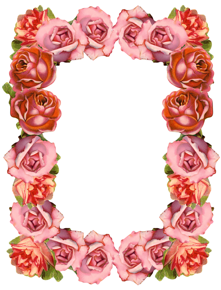 1000+ images about Transparent png blomster