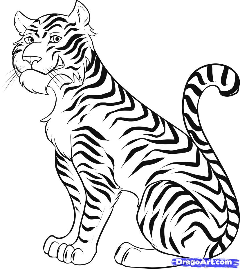 How to Draw a Cartoon Tiger, Step by Step, Rainforest animals ... - ClipArt  Best - ClipArt Best