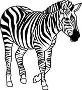 Zebra Outline Clipart