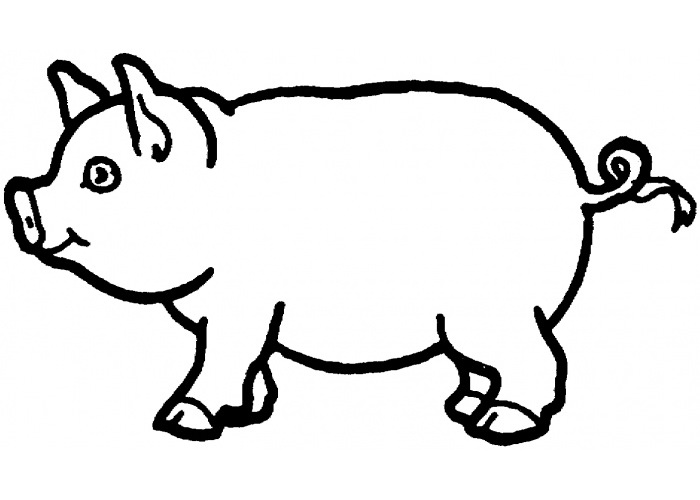 pig-template-clipart-best