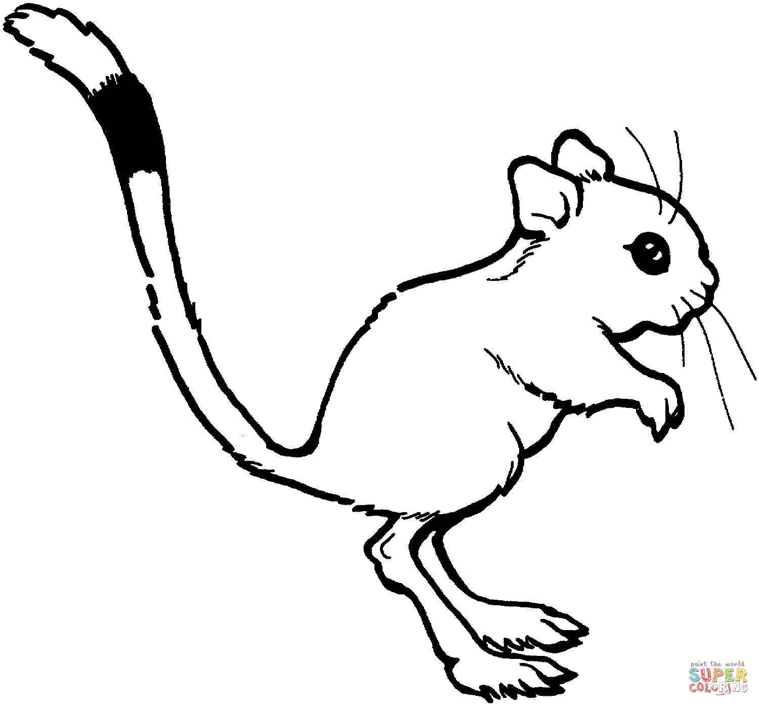 Rats coloring pages | Free Coloring Pages