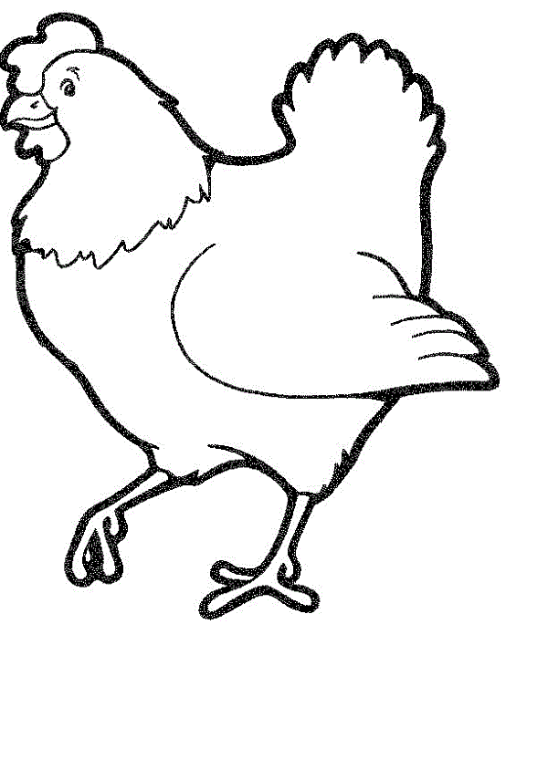 Chicken Pictures To Colour In | Free Download Clip Art | Free Clip ...