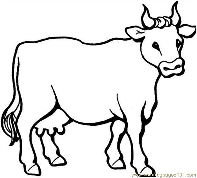 Google, Cow and Search