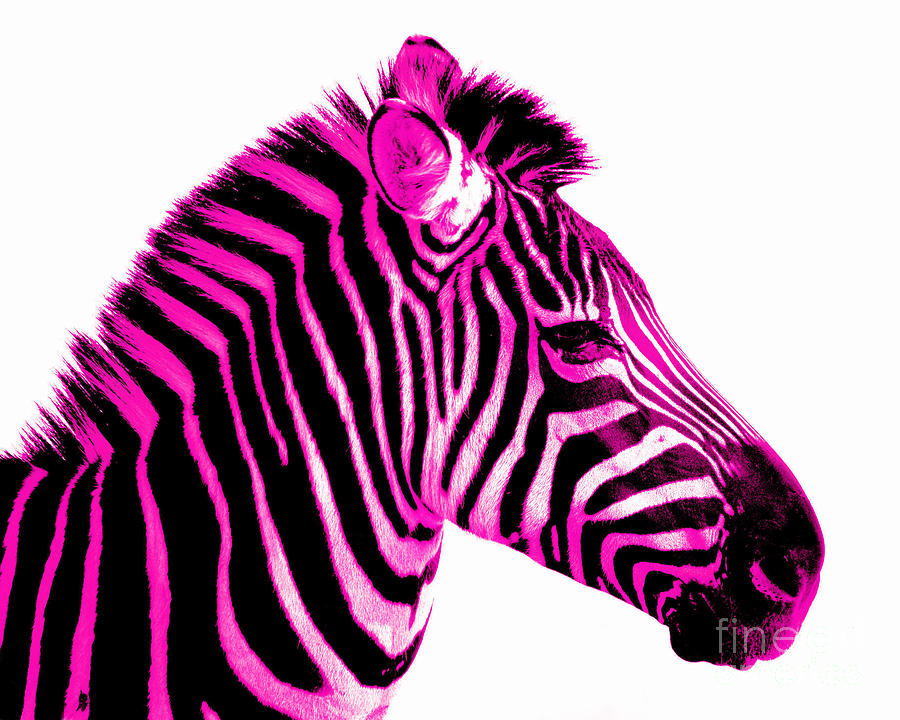 Pink and purple zebra clipart - ClipartFox