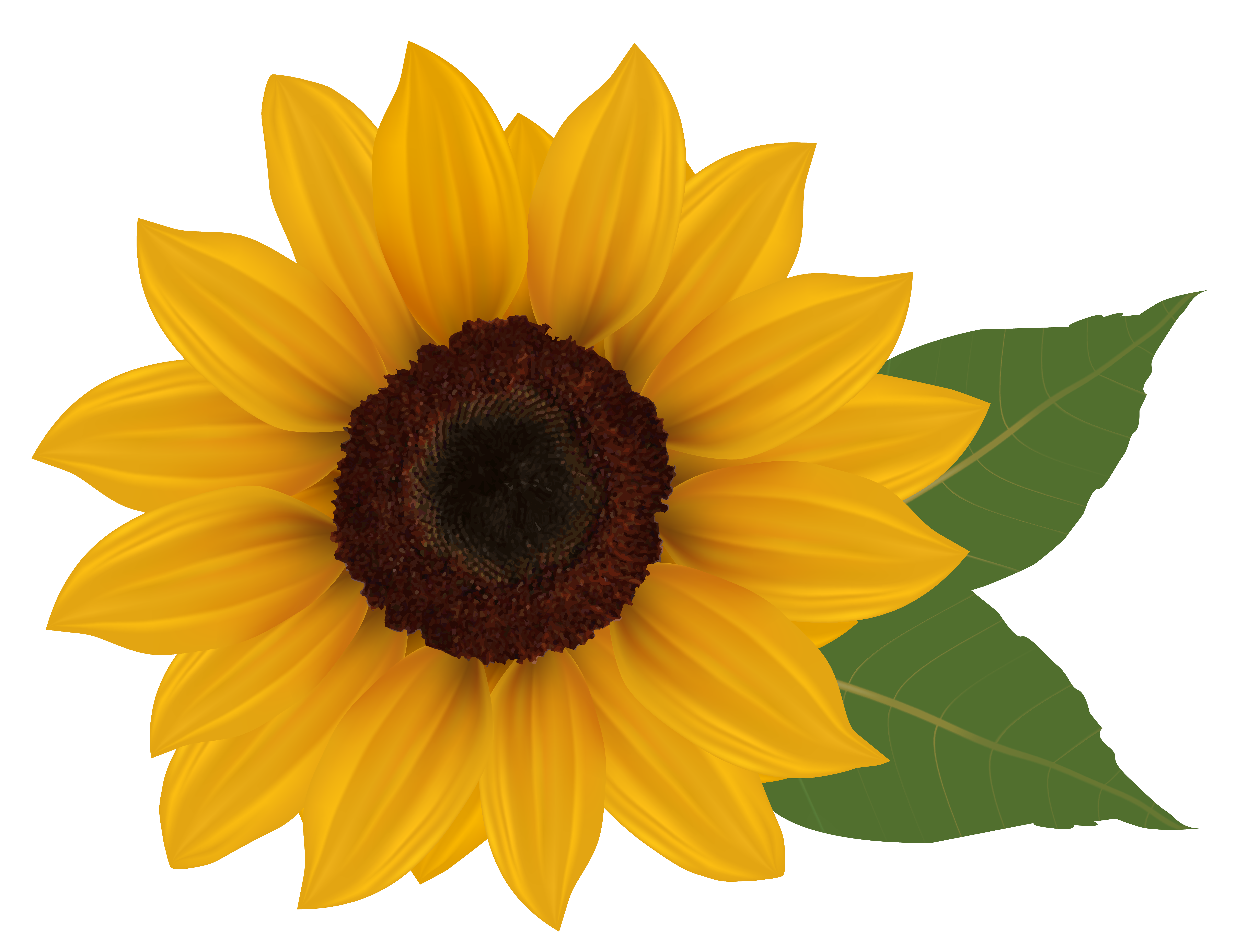 Clipart Sunflower - Tumundografico
