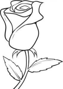 Pictures Of Flowers To Trace Clipart Best