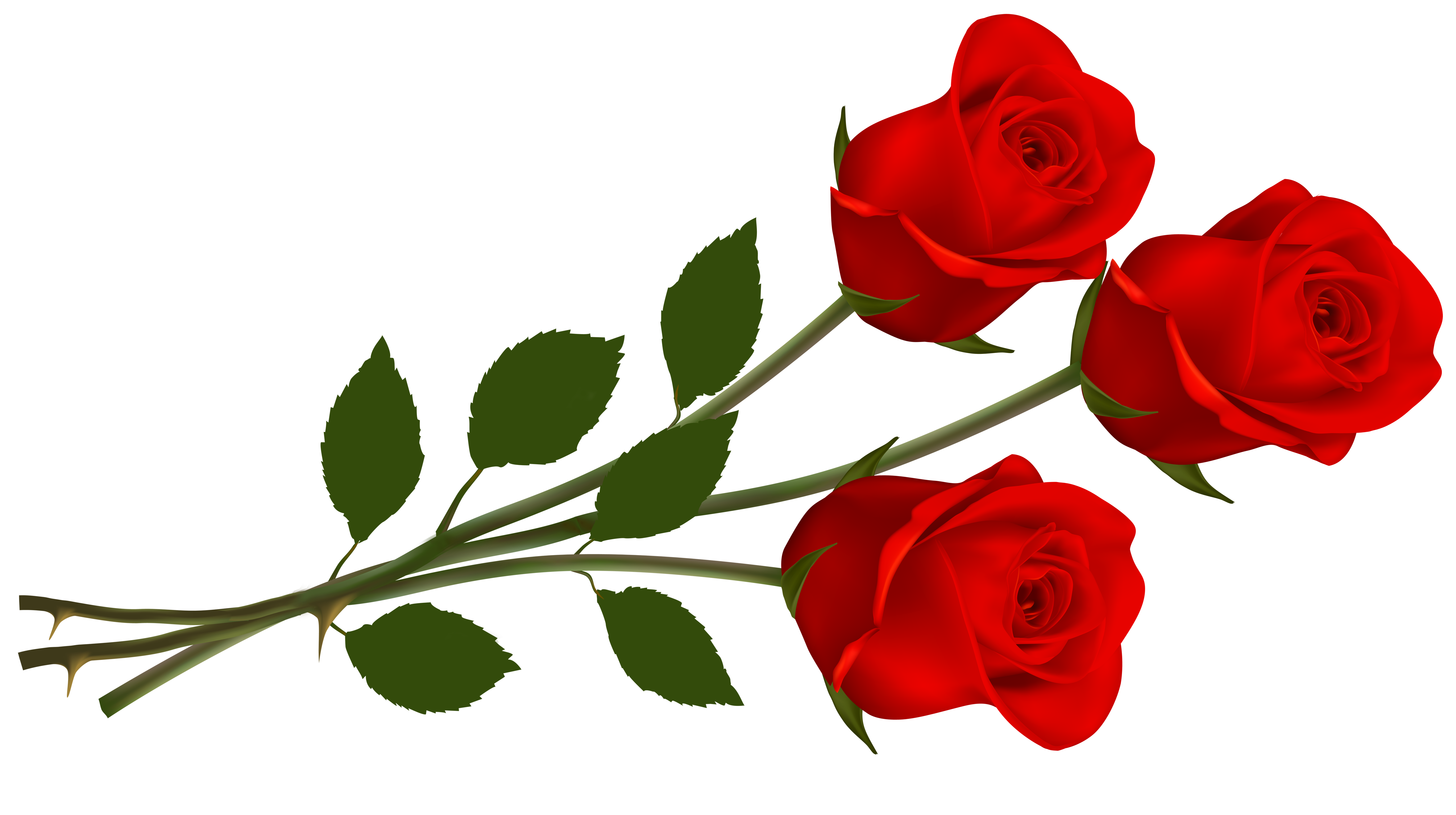 Clip Art Red Rose Clipart - Free to use Clip Art Resource