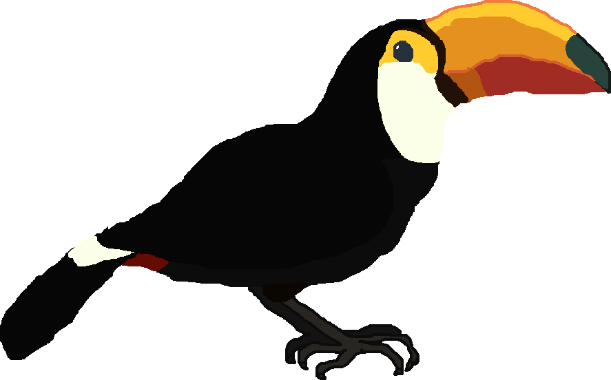 Image - Toco Toucan.png | All Birds Wiki | Fandom powered by Wikia