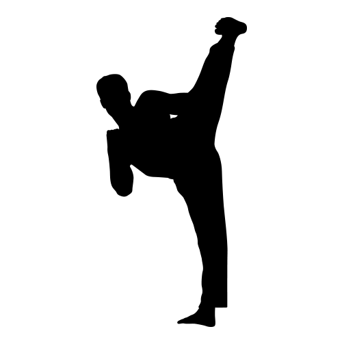 KARATE SILHOUETTE DECALS (Life-size Wall Decor) Karate Silhouette ...
