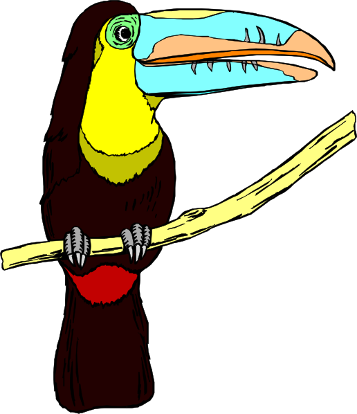 Toucan Clipart | Free Download Clip Art | Free Clip Art | on ...
