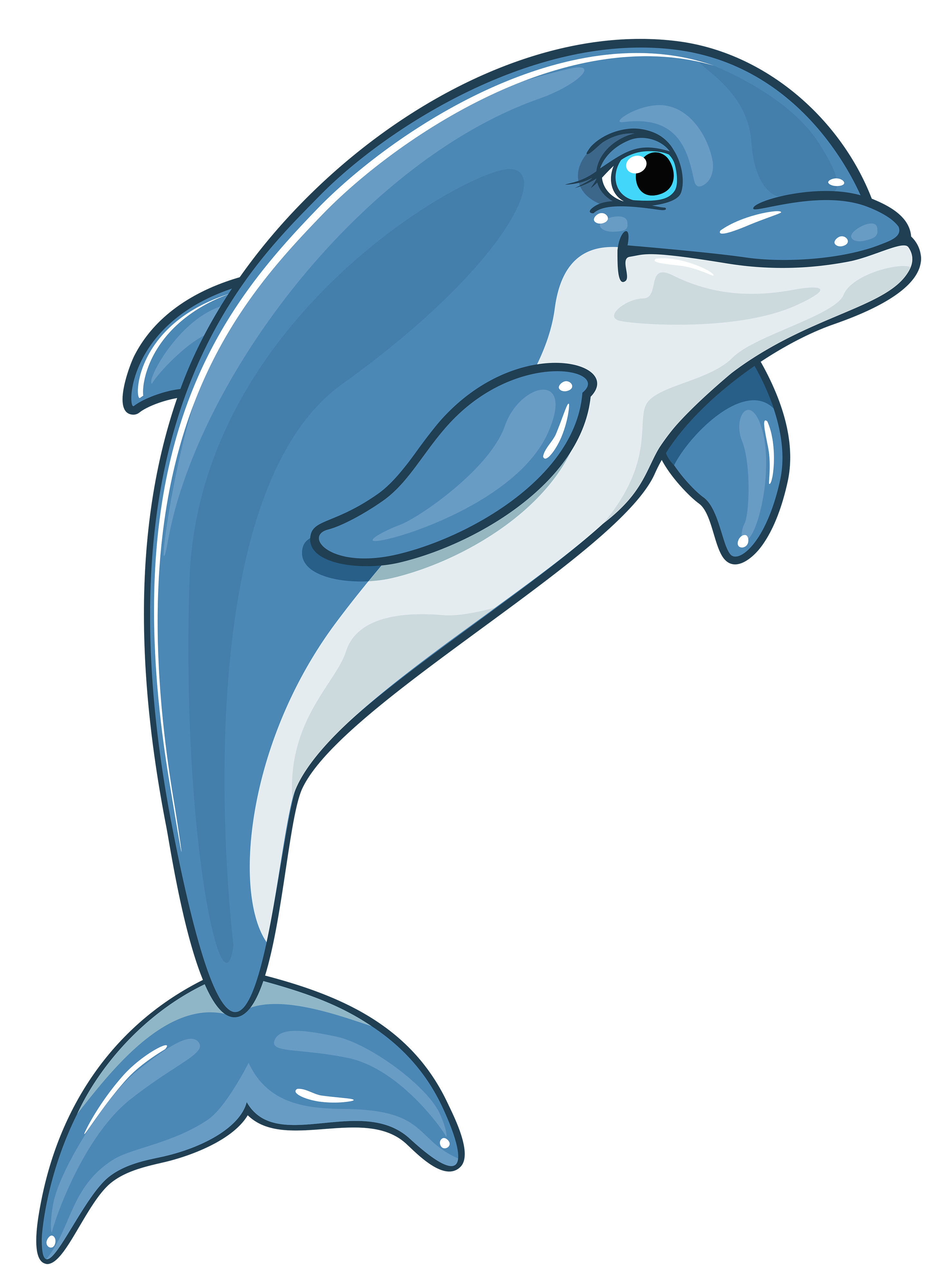 Dolphin clipart transparent
