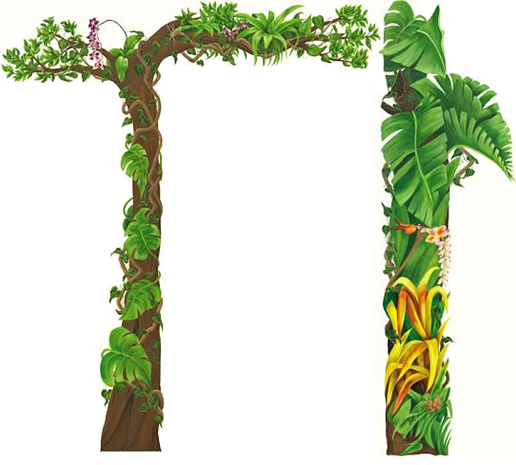 Jungle vine border clipart - ClipartFox