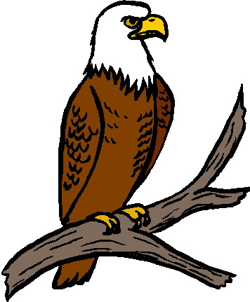 Cartoon eagle clipart