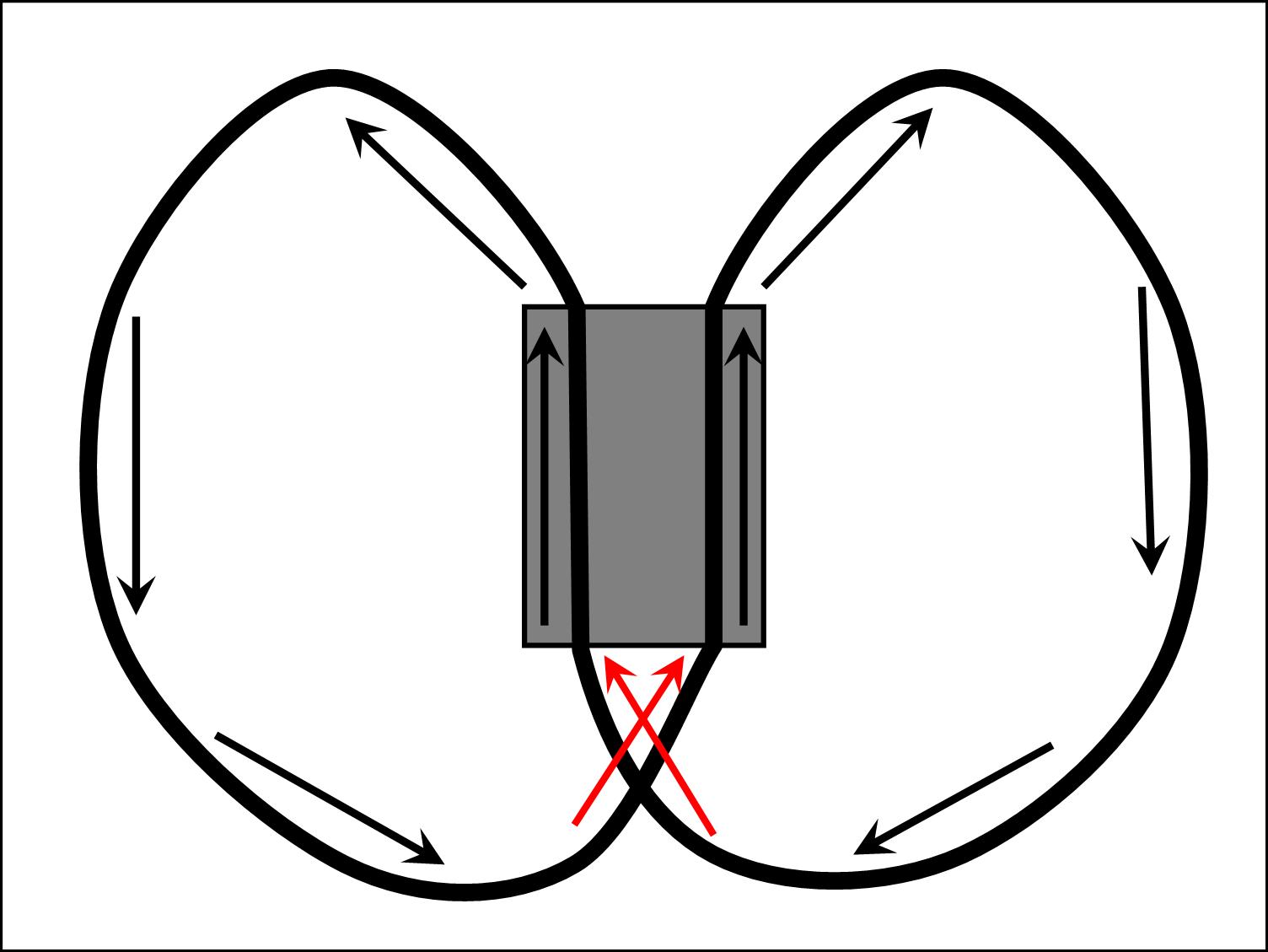 File:Mobius rollercoaster Schematic.jpg