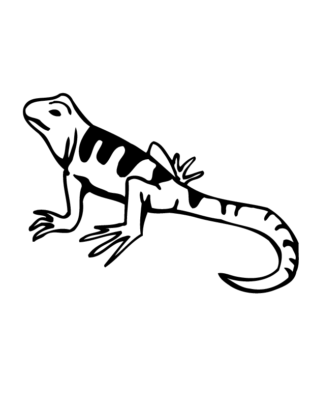 Pictures Of Cartoon Lizards | Free Download Clip Art | Free Clip ...