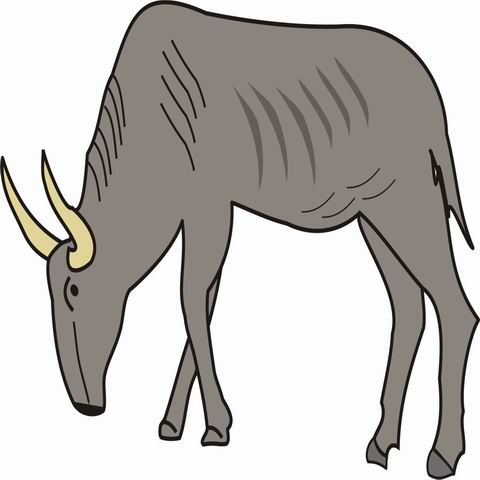 Gnu Coloring Pages for Kids to Color and Print