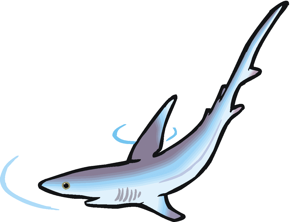 Free shark clipart clip art pictures graphics illustrations ...