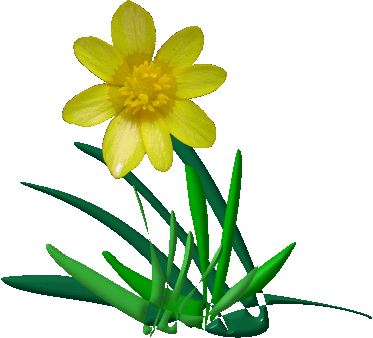 Animated Spring Clipart