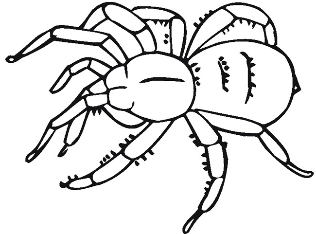 Spider Shape Template - 55+ Crafts & Colouring Pages | Free ...