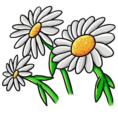 Free Daisy Images | Free Download Clip Art | Free Clip Art | on ...