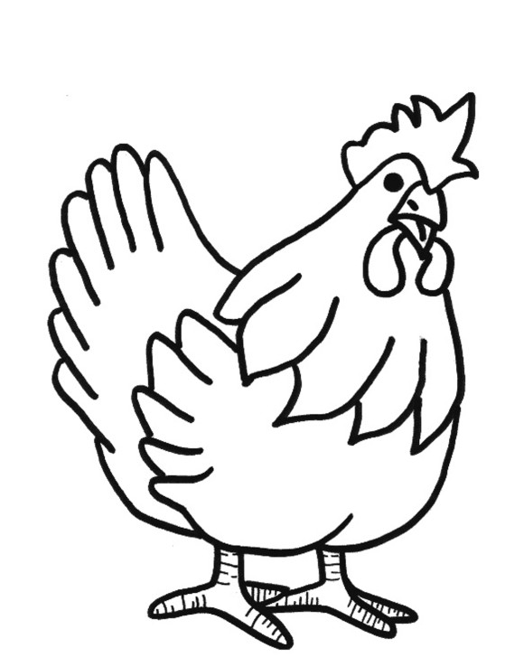 Drawing Of A Hen - ClipArt Best