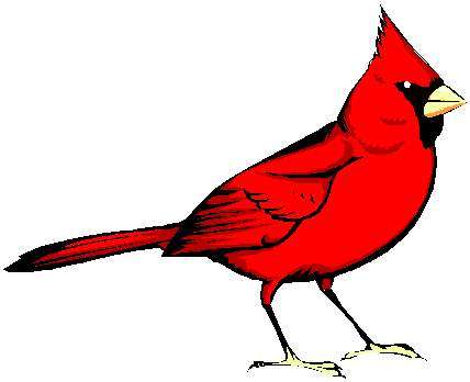 Cardinal Bird Clipart - ClipArt Best