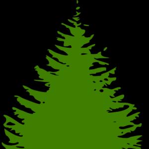 Free Cartoon Spruce Tree Top Layout | Piclipart