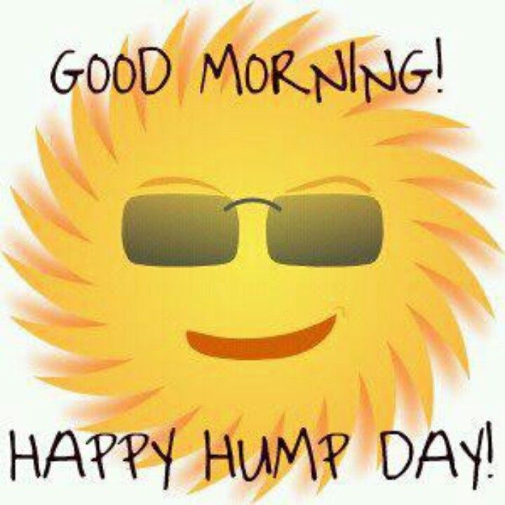 Happy Hump Day Clip Art Clipart Best