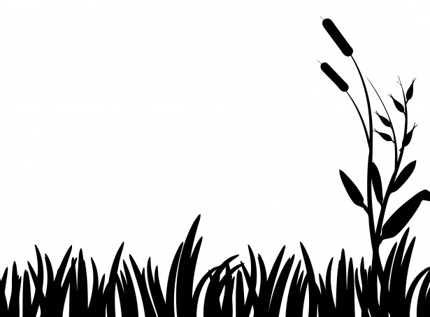 Free Grass Clip Art Pictures - Clipartix