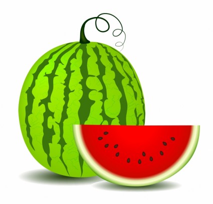 Image cartoon watermelon clip art clipartcow 2 - Clipartix