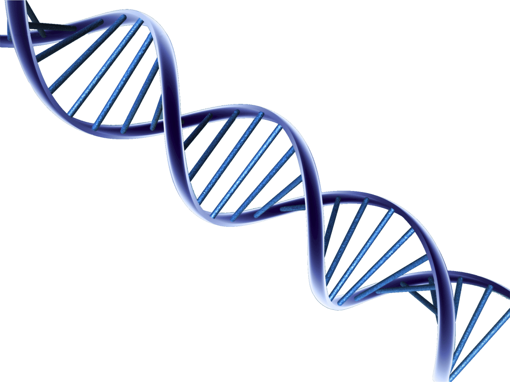 Dna clipart gif