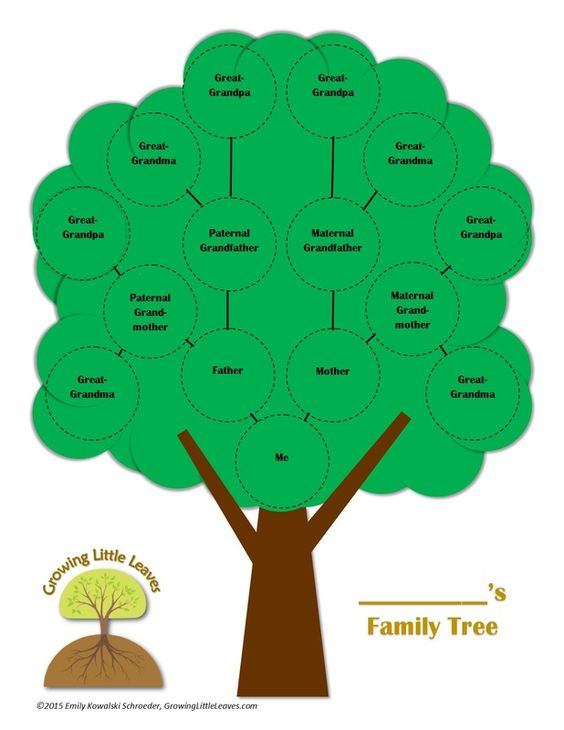 Trees, Kid and Free family tree
