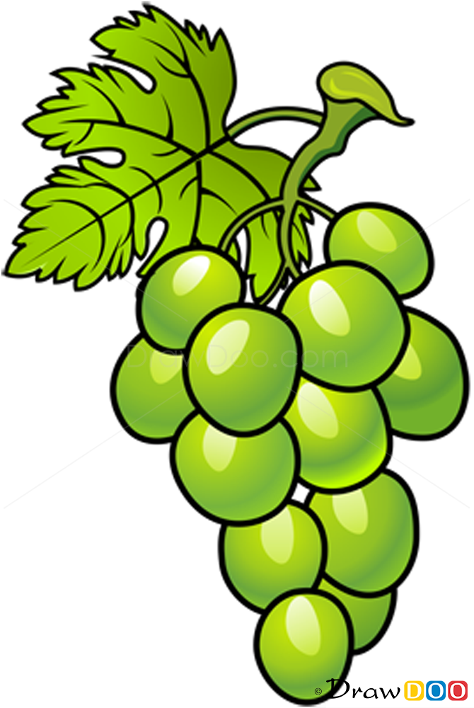 clipart green grapes - photo #34