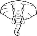 Ivory Icon