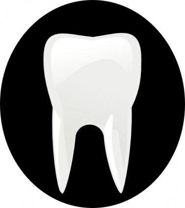 Tooth Molar clip art Free vector in Open office drawing svg ( .svg ...