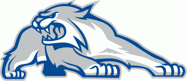 New Hampshire Wildcats Alternate Logo - NCAA Division I (n-r ...