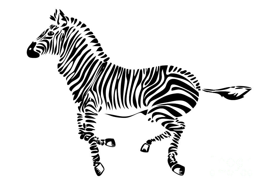 zebra silhouette clip art - photo #48