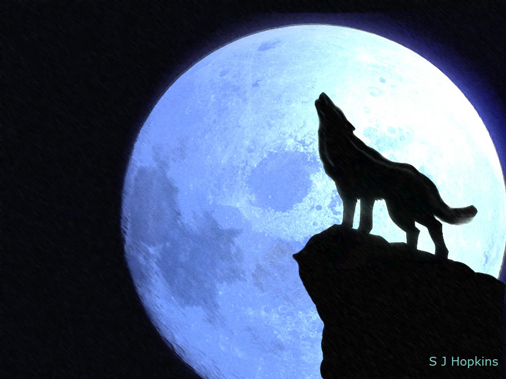 Picture Of Wolf Howling At Moon