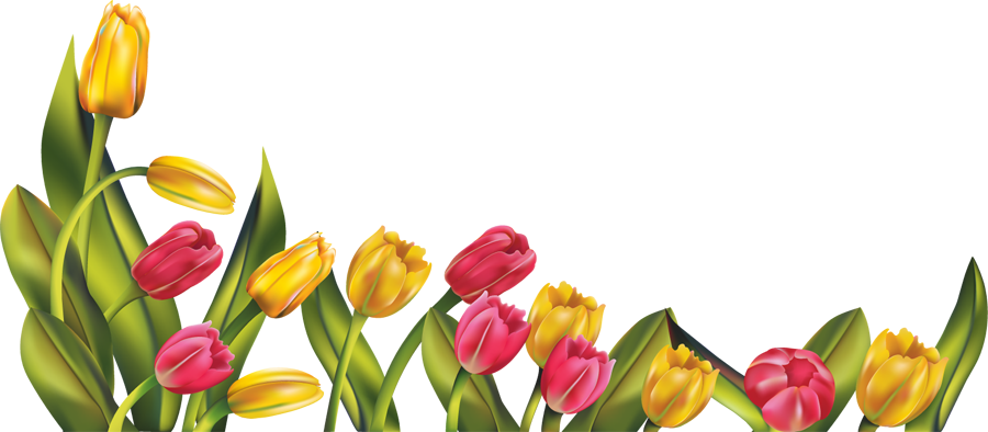 free clipart spring borders - photo #27