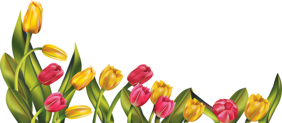 spring clip art borders free - photo #47